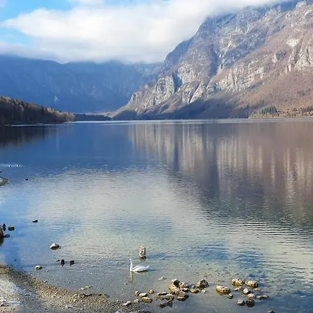 Prbajtnjeko Tatil Evi Bohinj