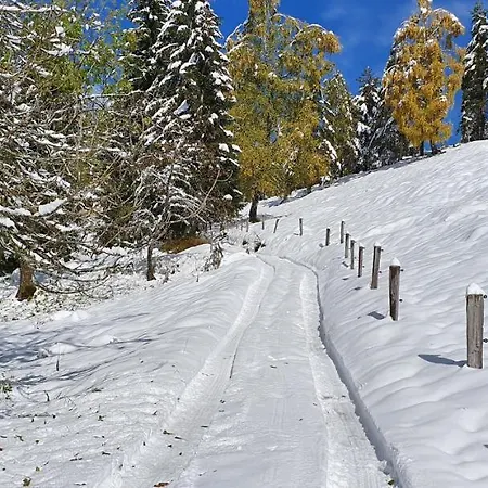 Prbajtnjeko Tatil Evi Bohinj