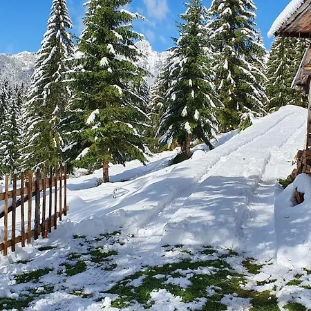 Prbajtnjeko Holiday home *