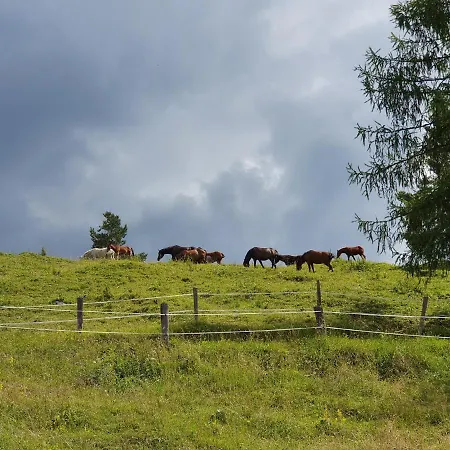 Prbajtnjeko Tatil Evi *