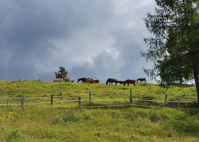 Prbajtnjeko Prázdninový dům *